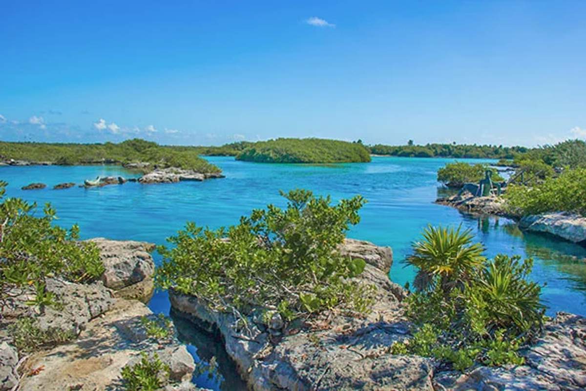 Vista serena de las aguas turquesas y la vegetación exuberante de la Laguna Yal Kú en Akumal.
