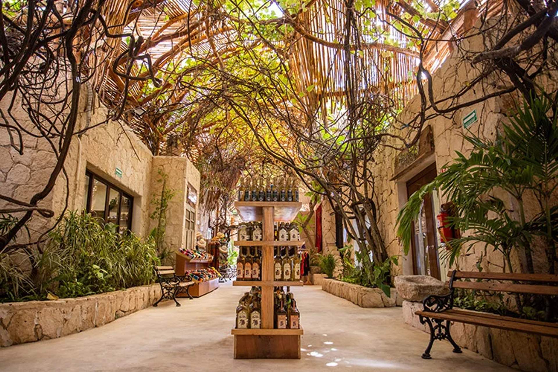 A rustic shopping area in Cancun with bottles on display, surrounded by lush greenery and a vine-covered roof.