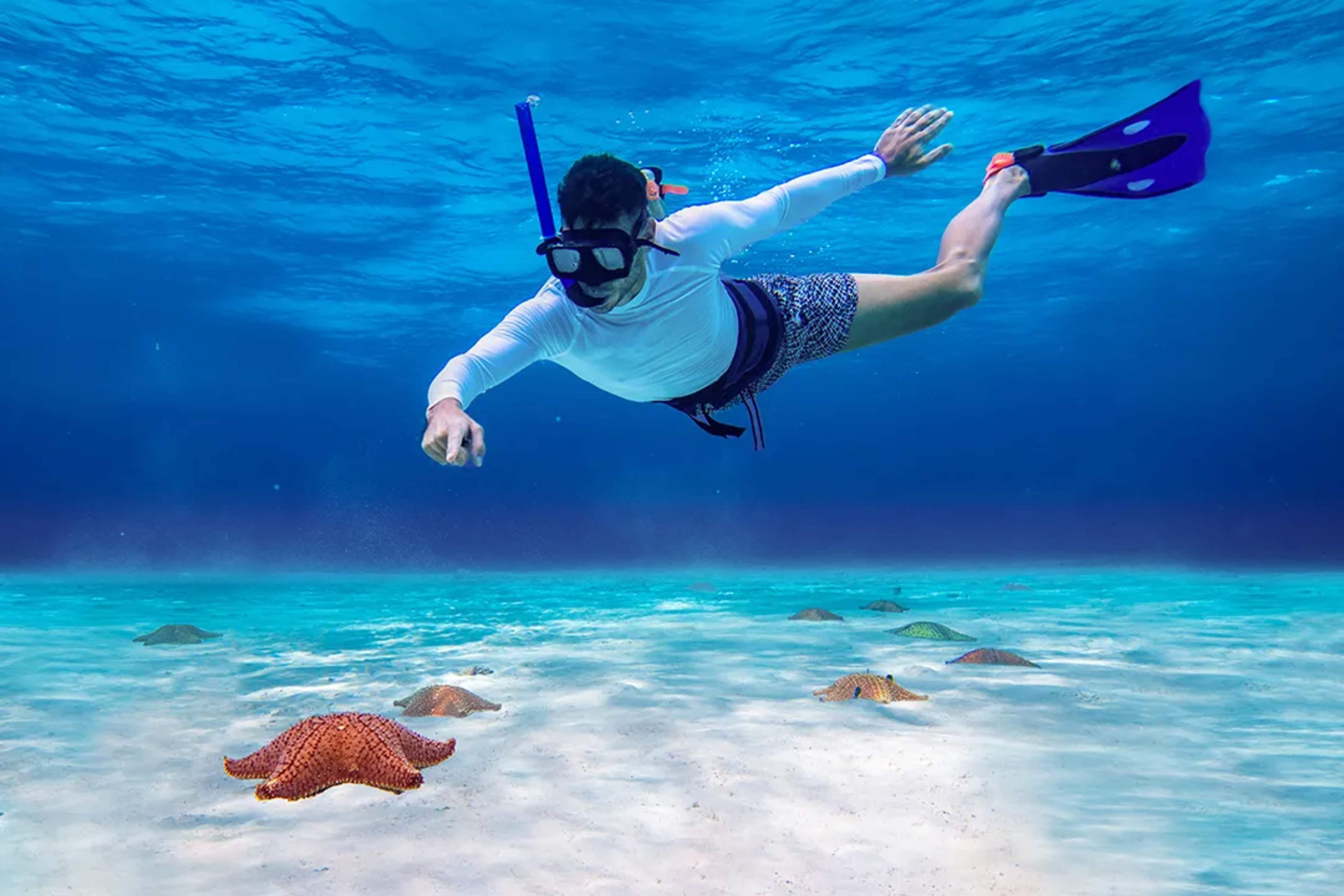 Haz snorkel en aguas cristalinas y maravíllate con coloridas estrellas de mar, en El Cielo, Cozumel.