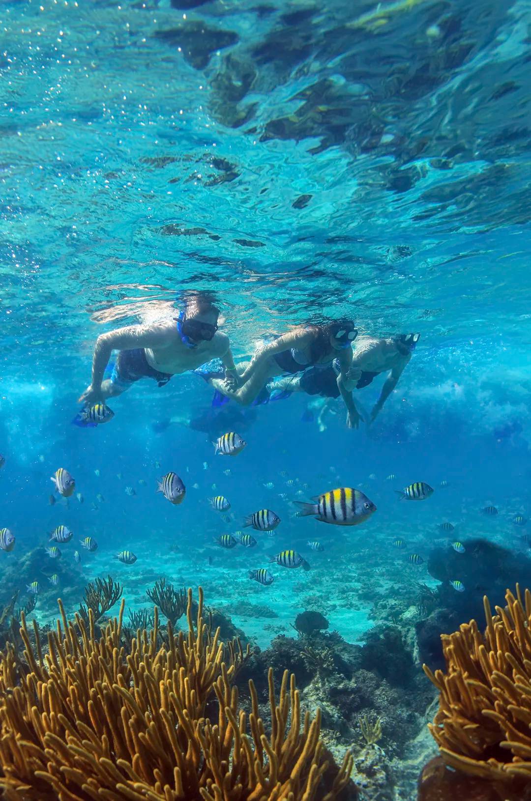 Friends enjoying Cozumel snorkeling.