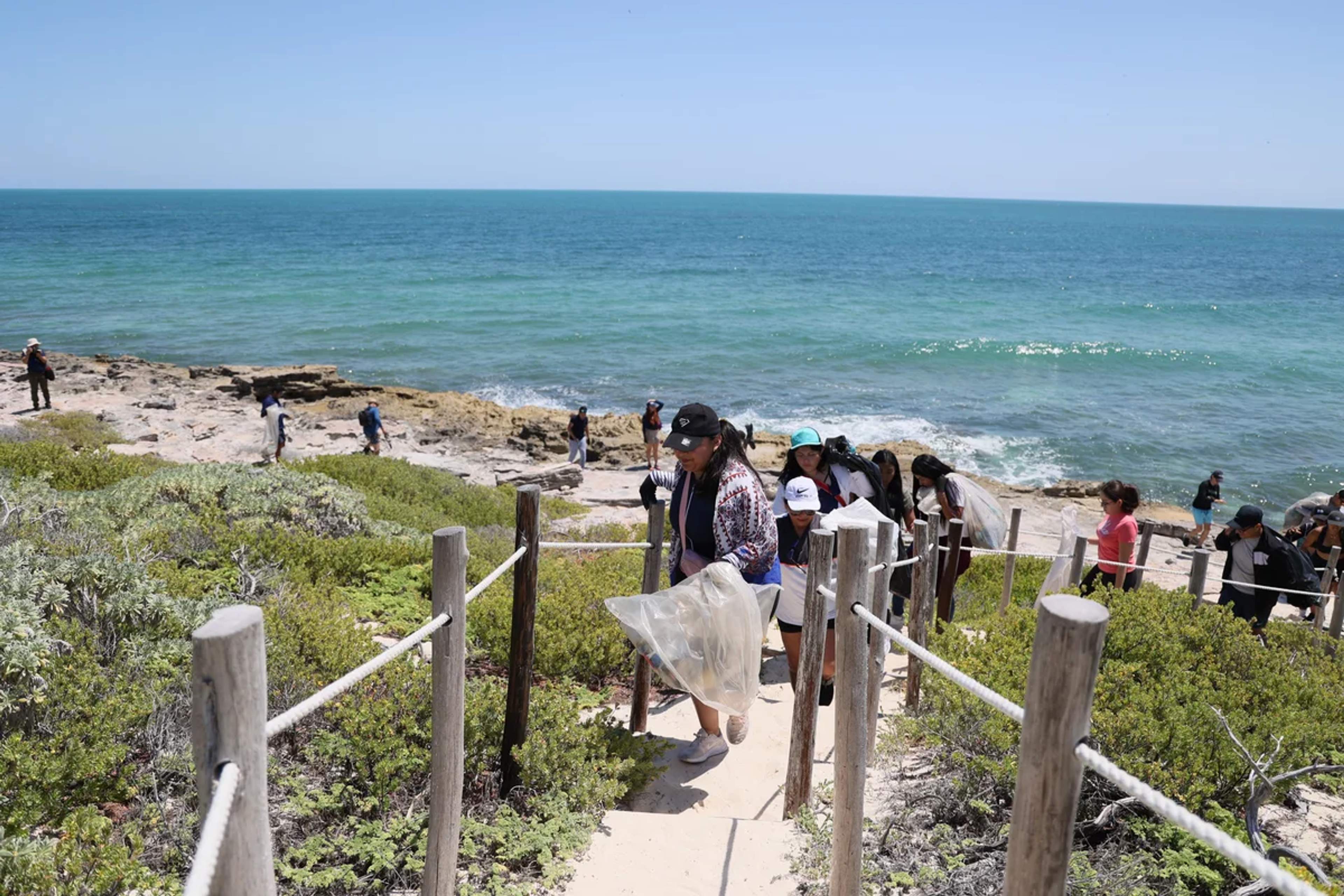 Volunteers clean a beach trail, collecting trash under the bright sun and blue ocean backdrop.
