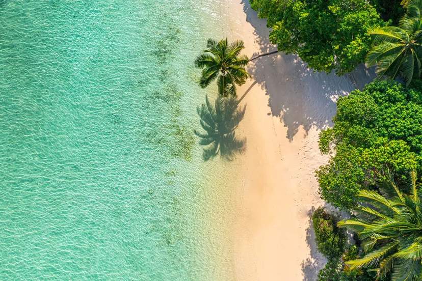 Vista aérea de una playa tropical en Cancún con aguas turquesas cristalinas, arena blanca suave y palmeras exuberantes.