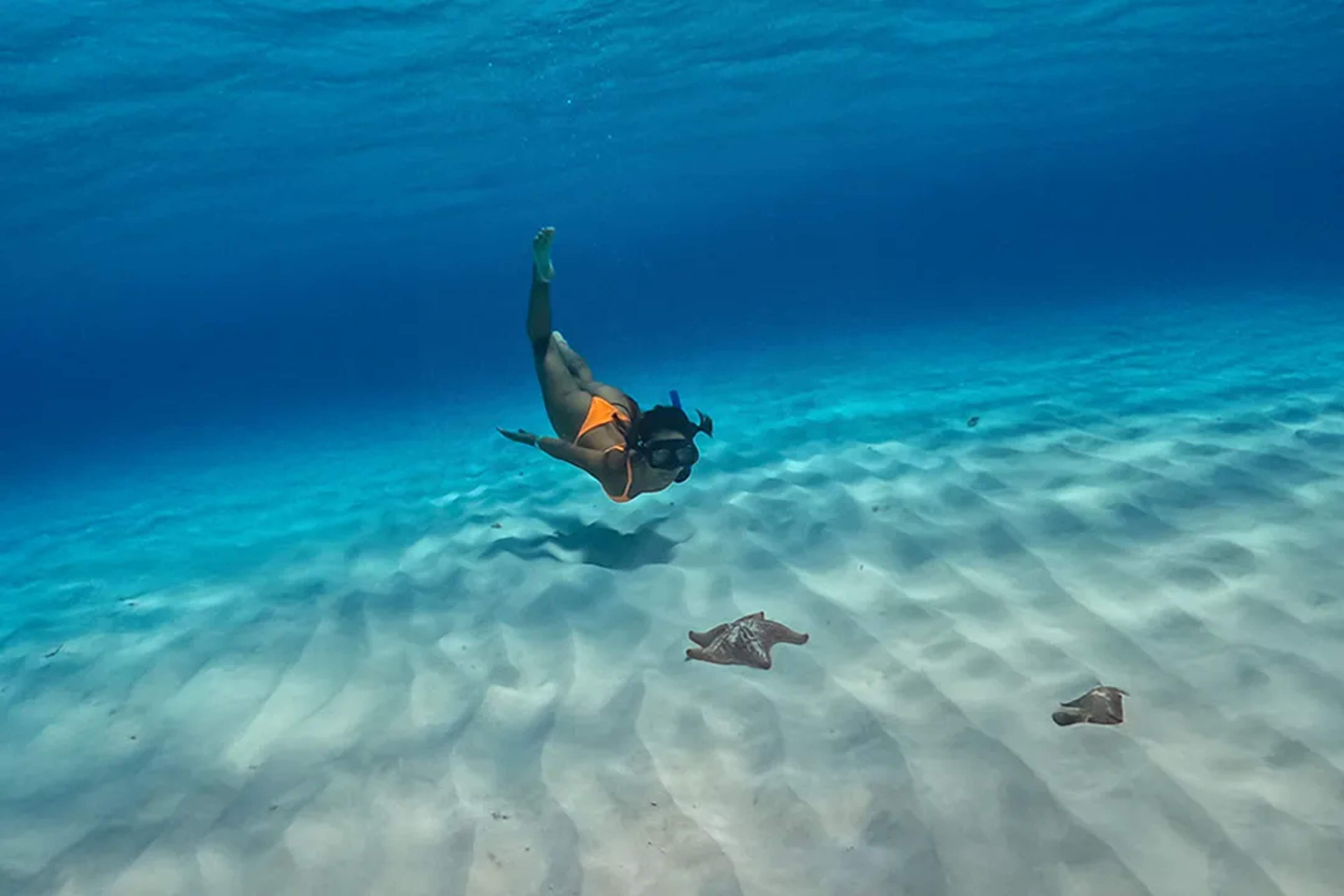 Snorkeling with starfish in crystal clear waters over white sand during a marine life tour in Mexico