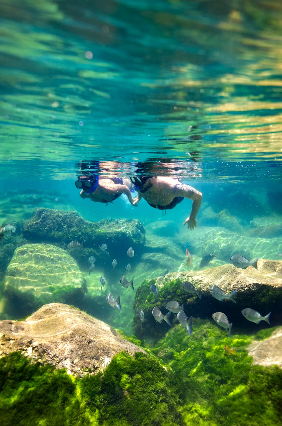 Couple snorkeling at Yal Ku lagoon in Cancun.
