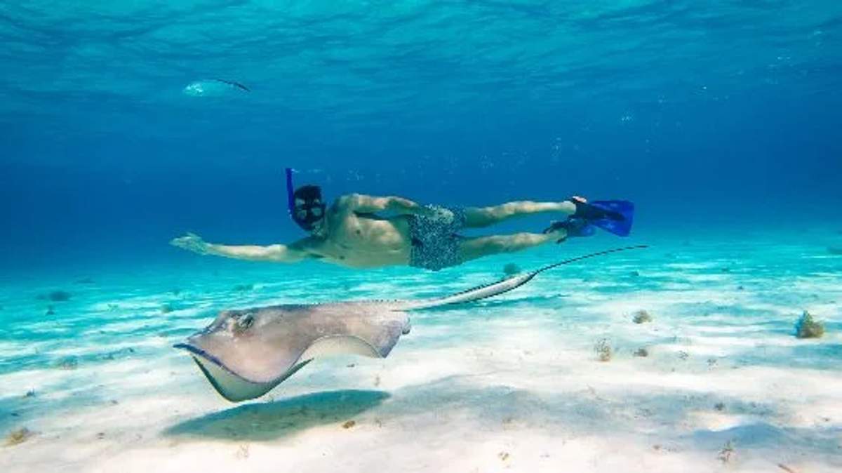 A snorkeler swims alongside a stingray in the clear waters of El Cielo, Cozumel.