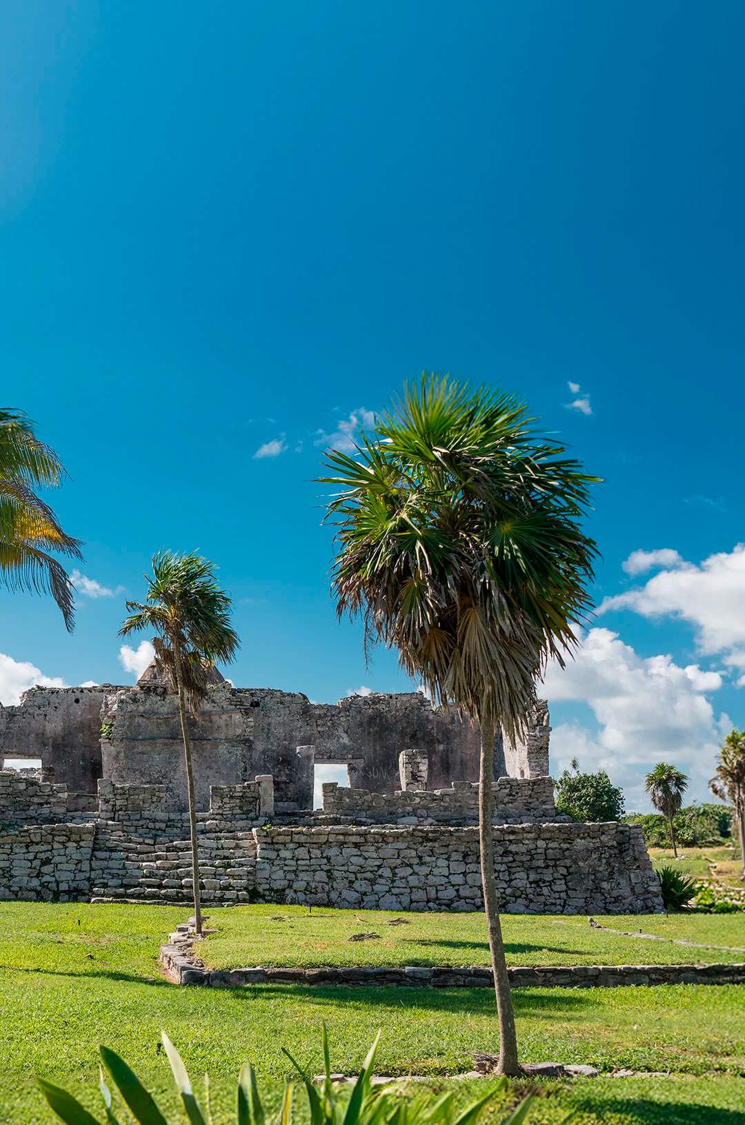 Admire the ruins in Tulum on a guided tour.