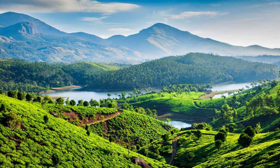 20 Best Western Ghats Treks: Pro Tips for Beginners and Experts