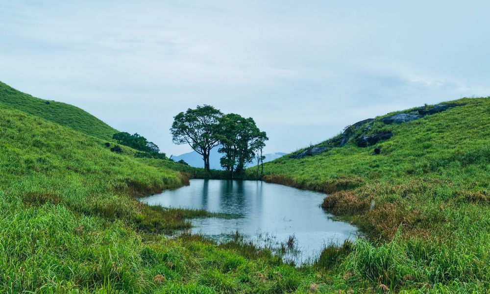 Chembra Peak