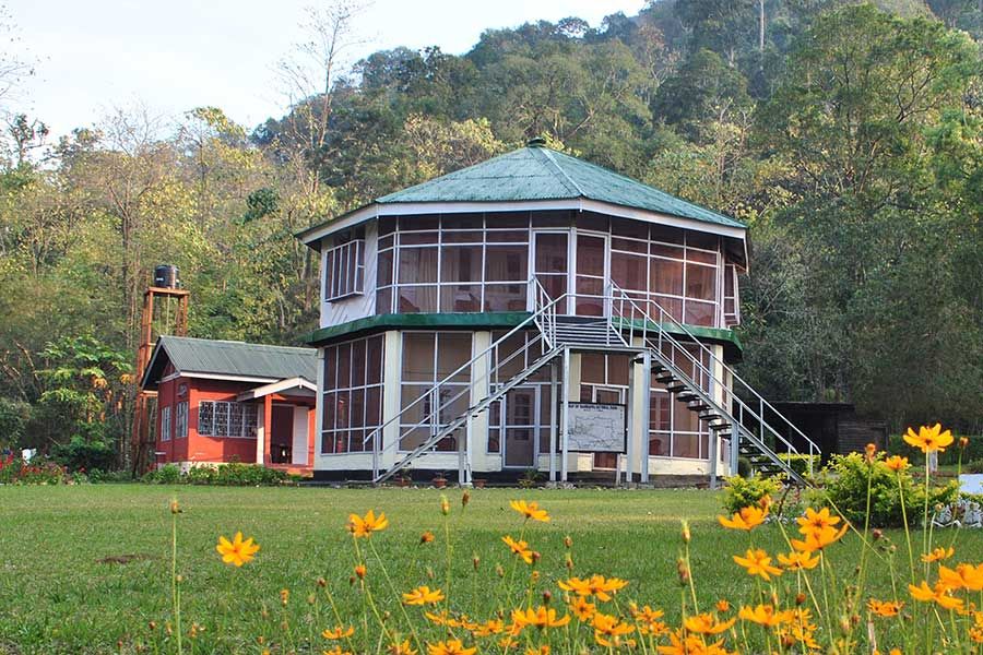 Namdapha Rainforest Trek Guide: The "Amazon of India" & The Four Cat Realm