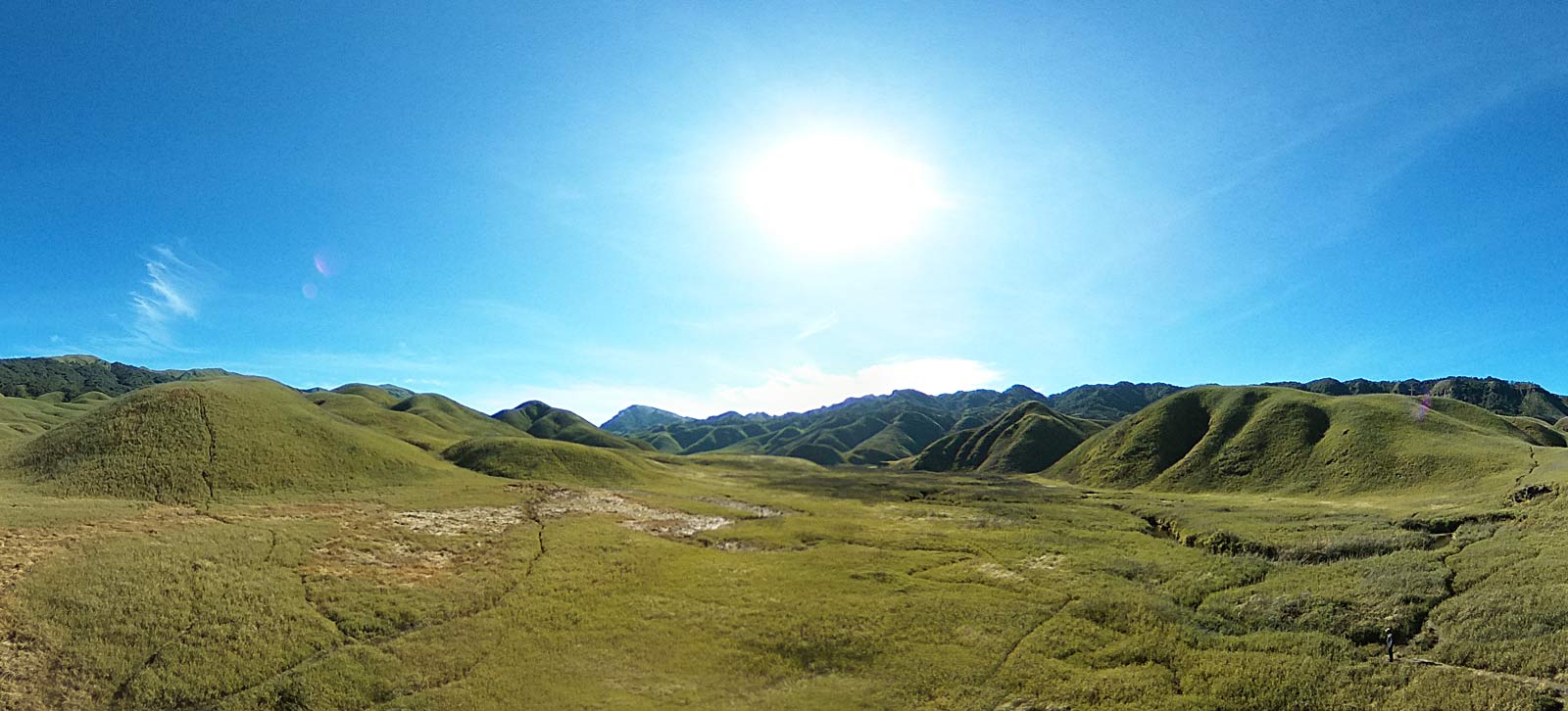 Dzukou Valley Trek Guide: The "Valley of Flowers" of the North East