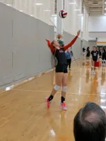 Image from Showdown In The Smokies album
