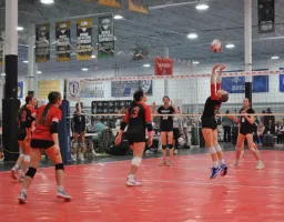 Image from Academy St. Patrick's Day Classic album