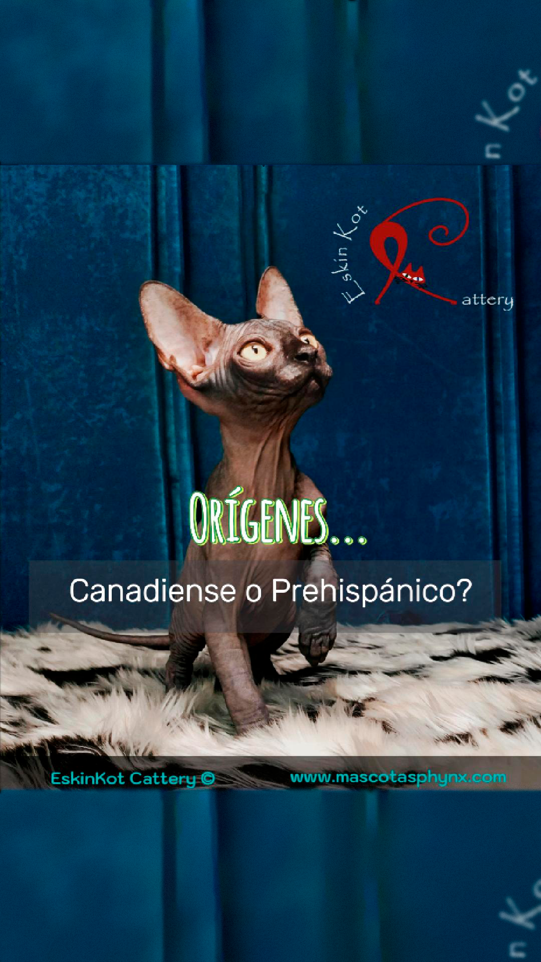Primer articulo