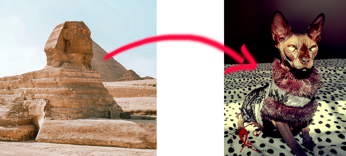 El gato sphynx: origen