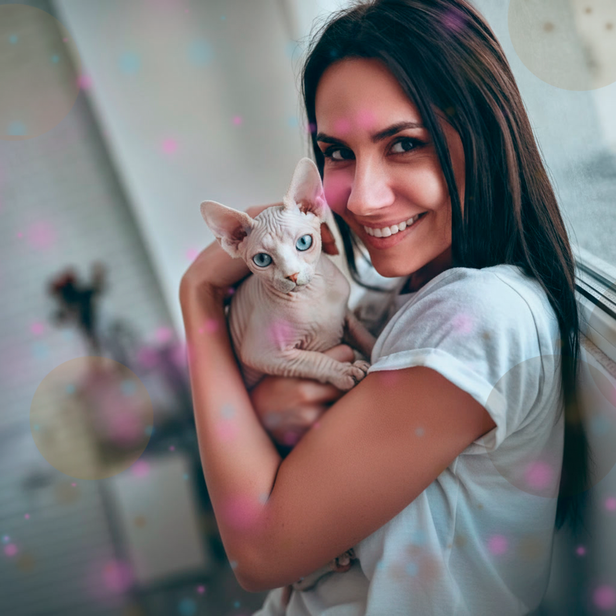 Los primeros 6 meses con tu gato Sphynx: qué esperar (y por qué te enamorarás)!