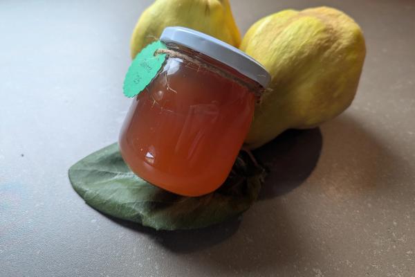 Card background for Quittengelee