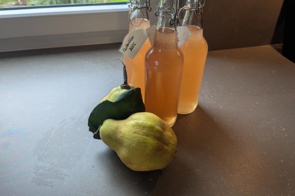 Card background for Quittenlikör