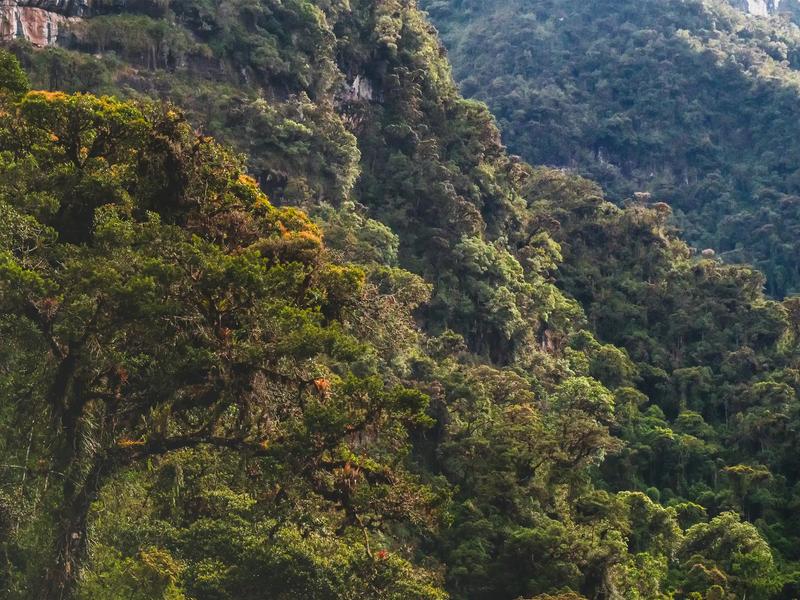 Laguna de los Cóndores: el trek más exigente de Chachapoyas
