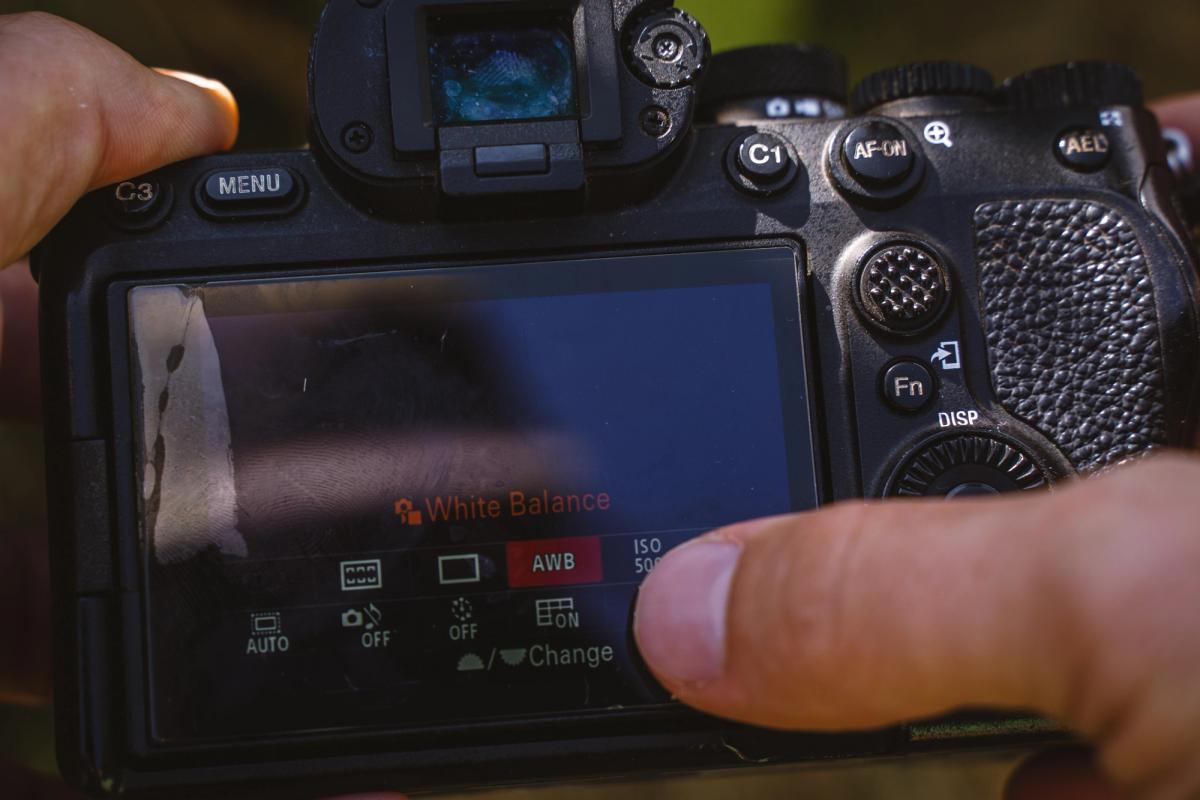 Primer plano de las manos de un fotógrafo en la parte trasera de una cámara, ajustando el balance de blancos en la pantalla durante un taller de fotografía