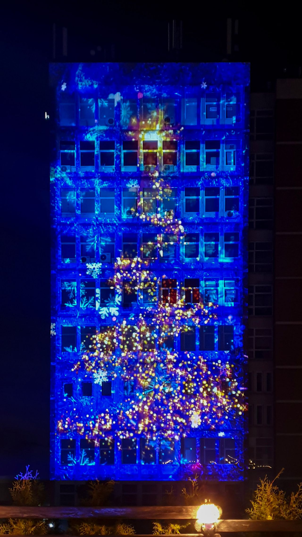Christmas Projection — Măgurele 2019