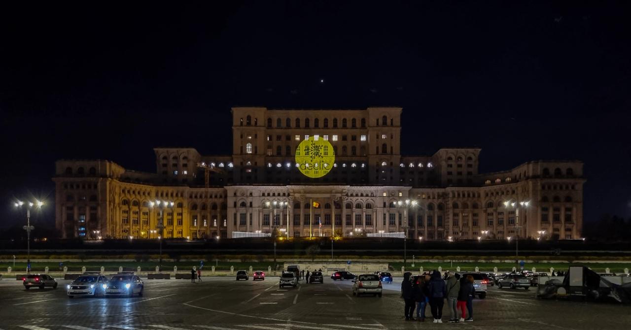 Declic Pentru Legea Anti-Viol