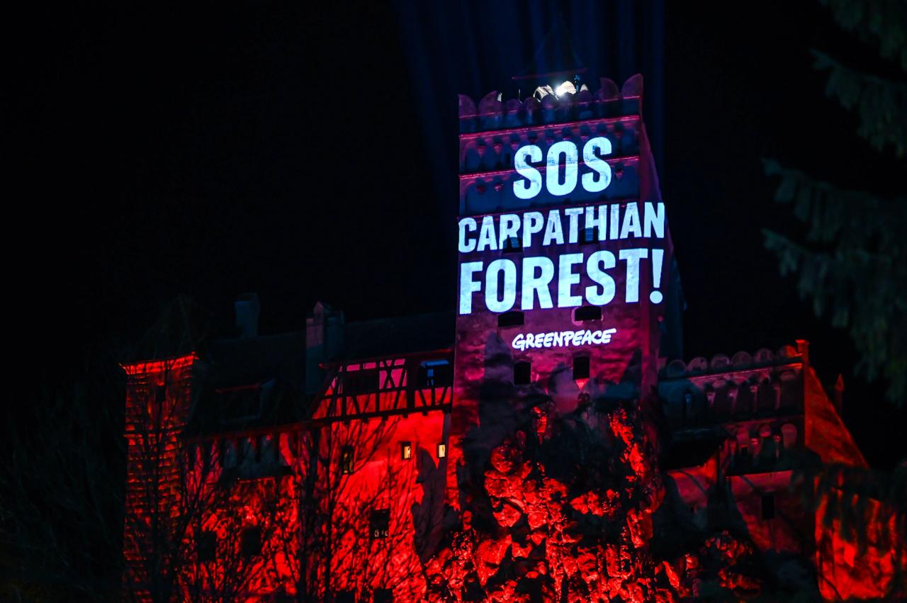 Greenpeace — SOS Carpathian Forest at Bran Castle