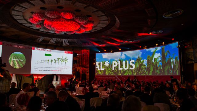 DuPont Arigo & Principal Plus Launch