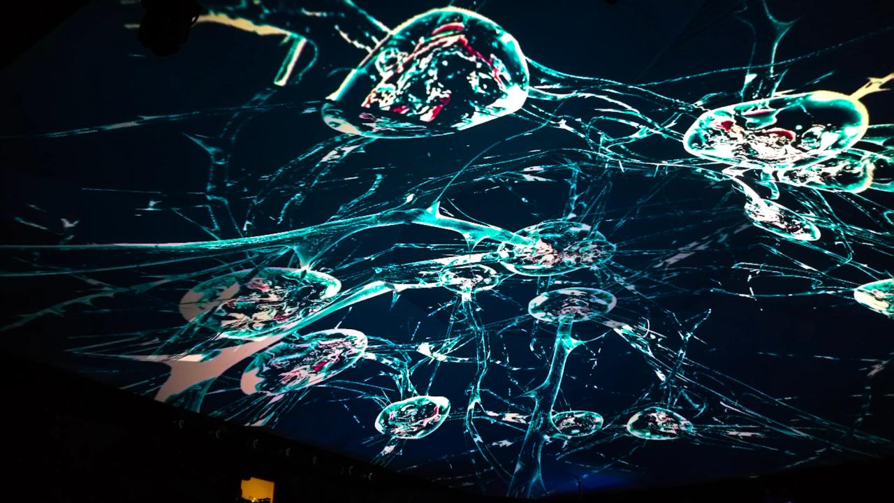 IQOS Immersive Event at World Trade Center Bucharest