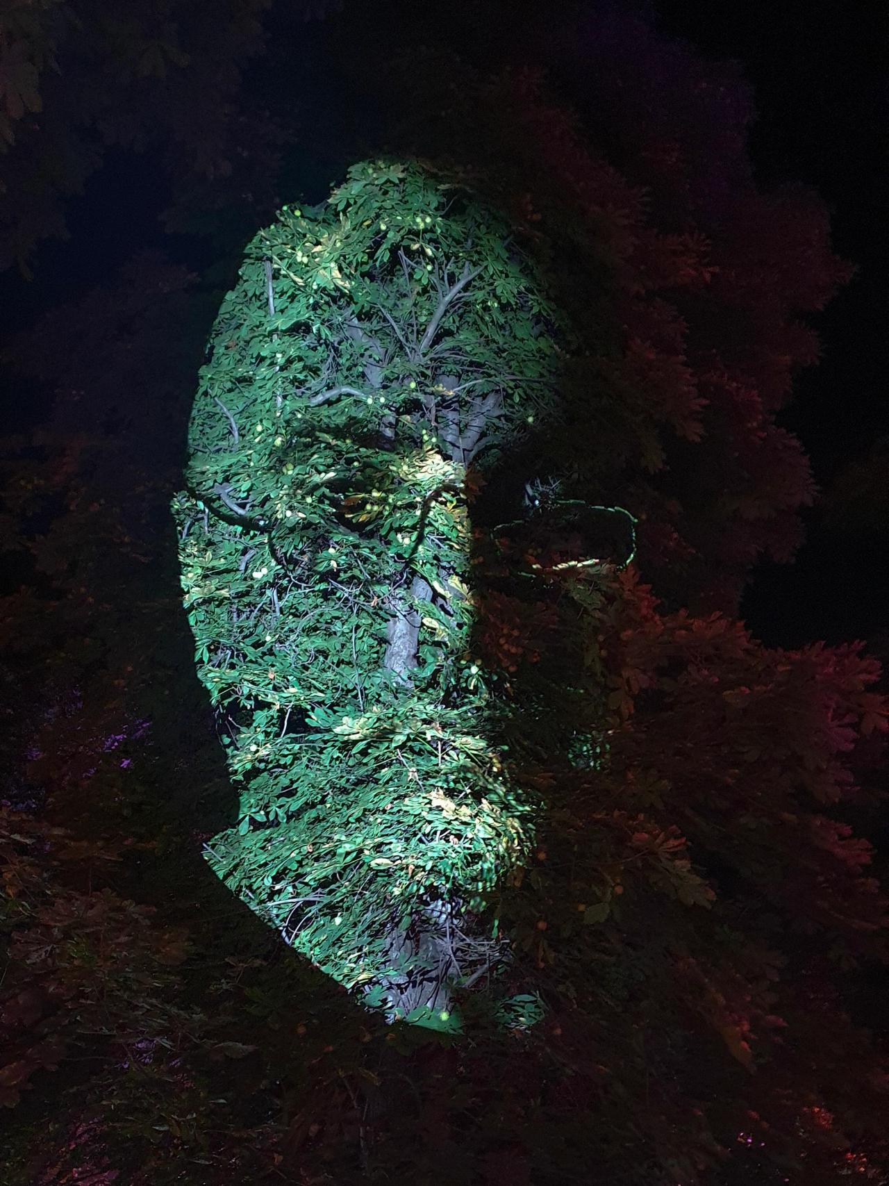 Kaufland Faces in the Trees — UNTOLD 2021