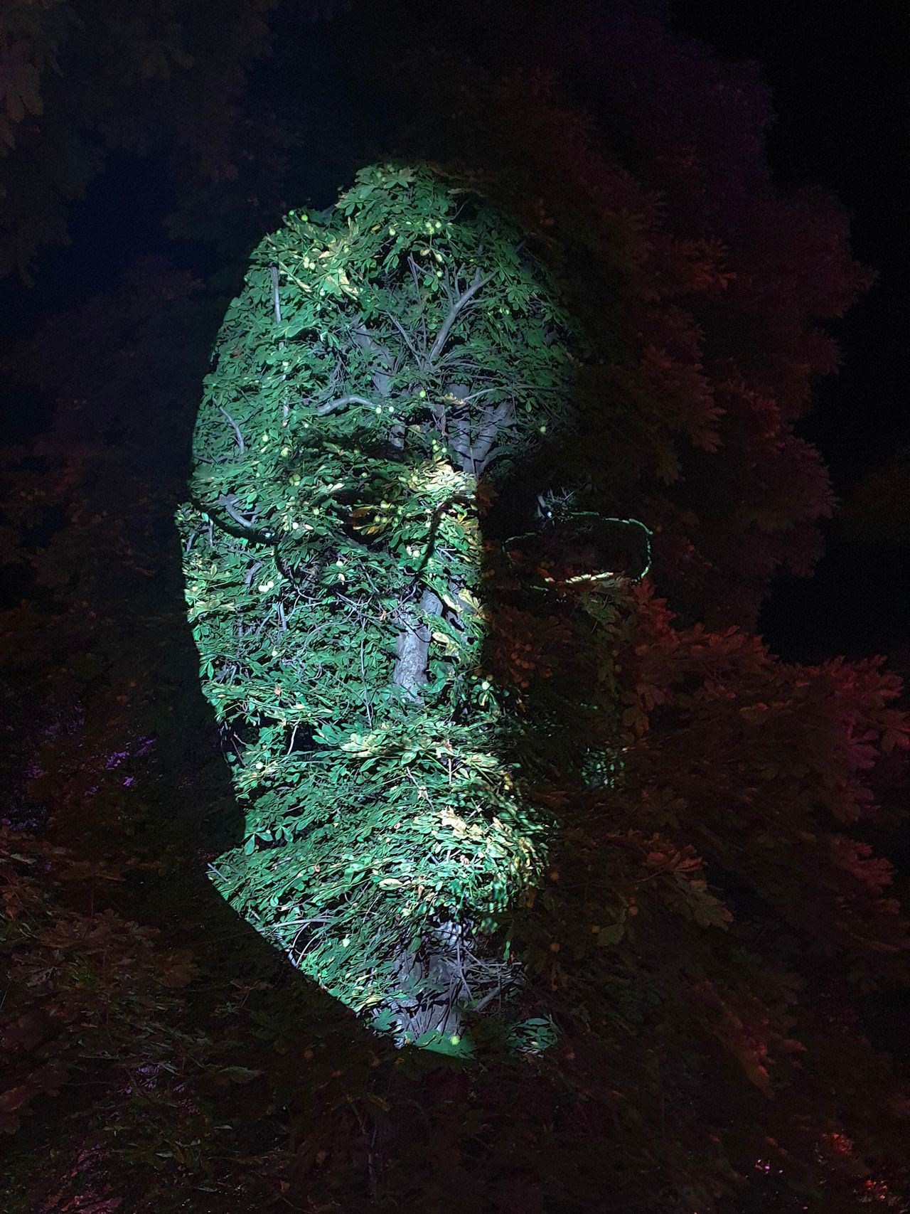 Kaufland Faces in the Trees — UNTOLD 2021