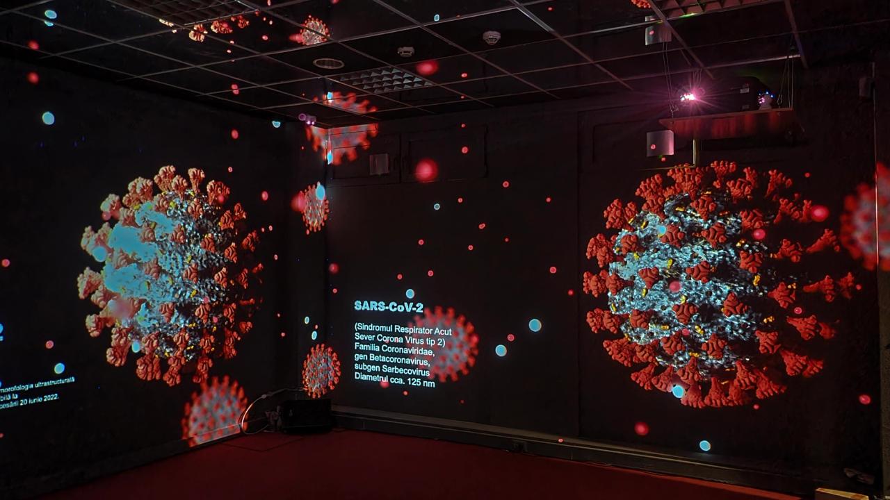 Atlas Of The Viruses