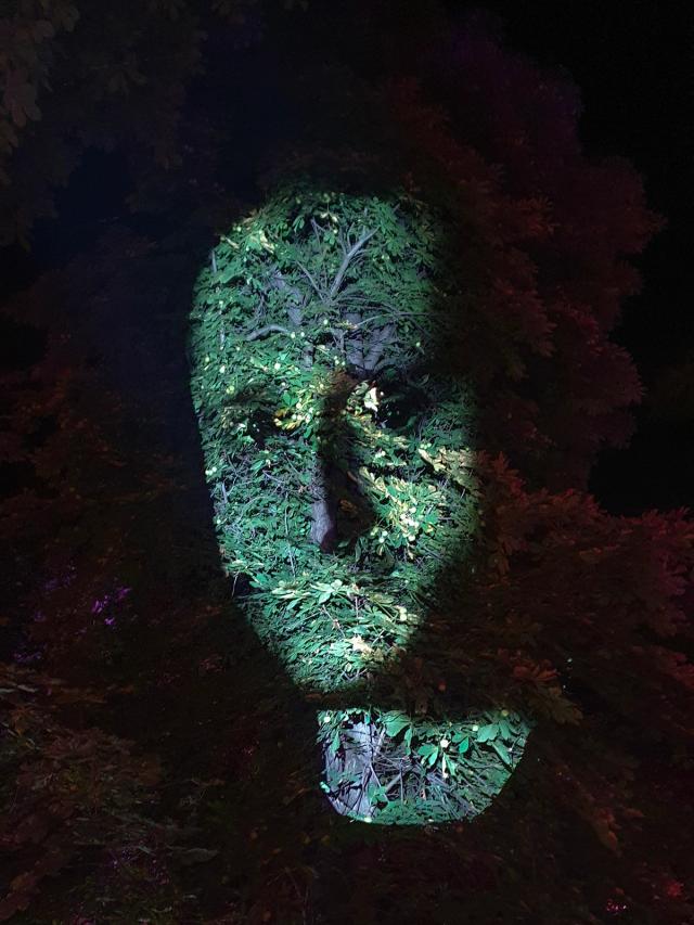 Kaufland Faces in the Trees — UNTOLD 2021