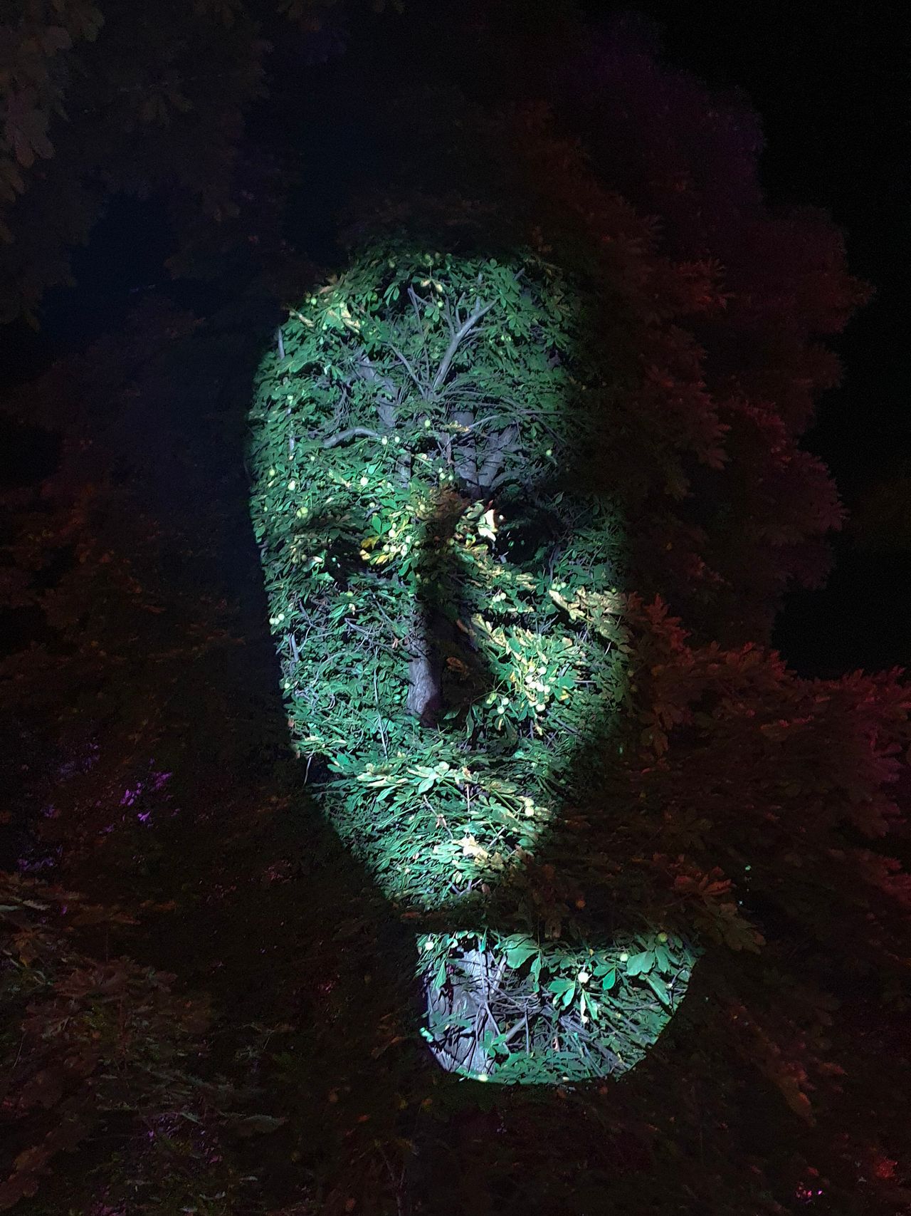 Kaufland Faces in the Trees — UNTOLD 2021