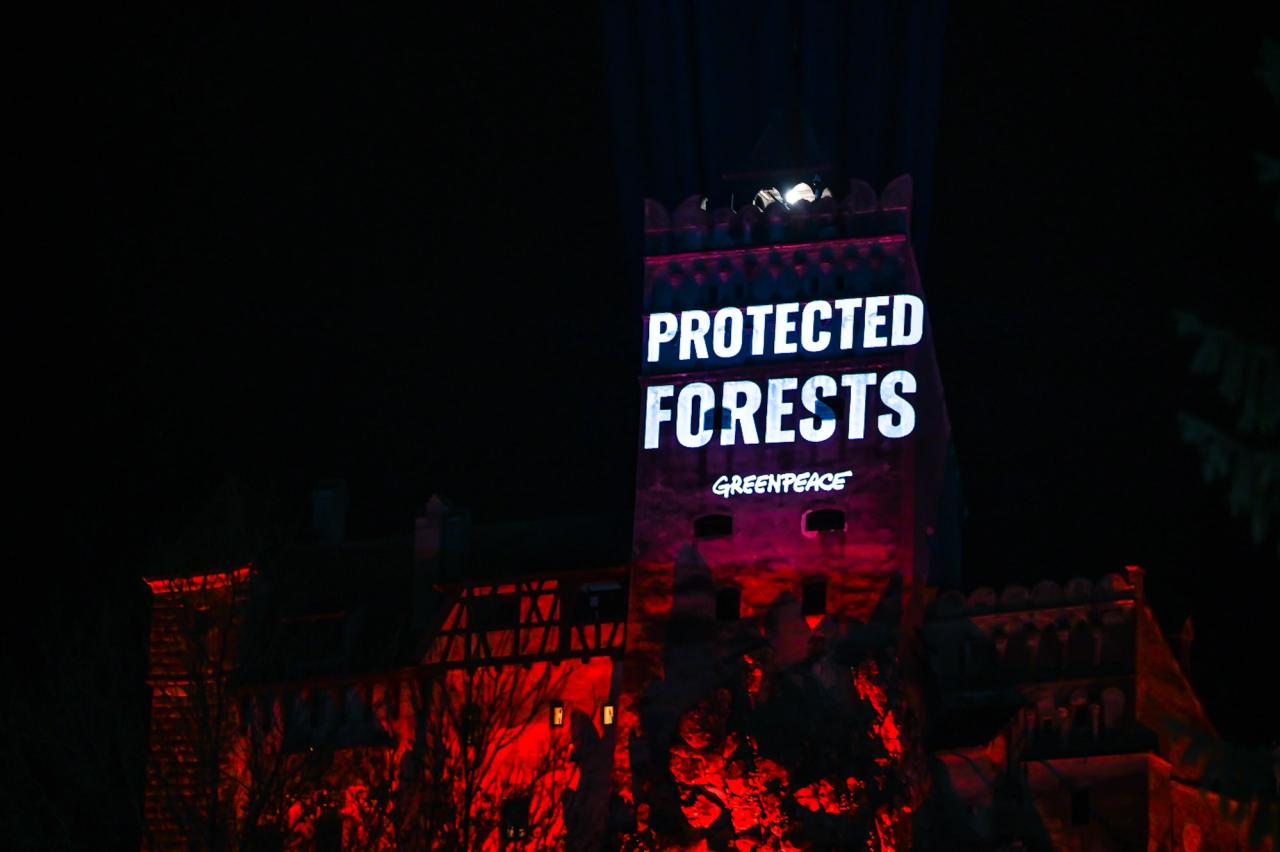 Greenpeace — SOS Carpathian Forest at Bran Castle