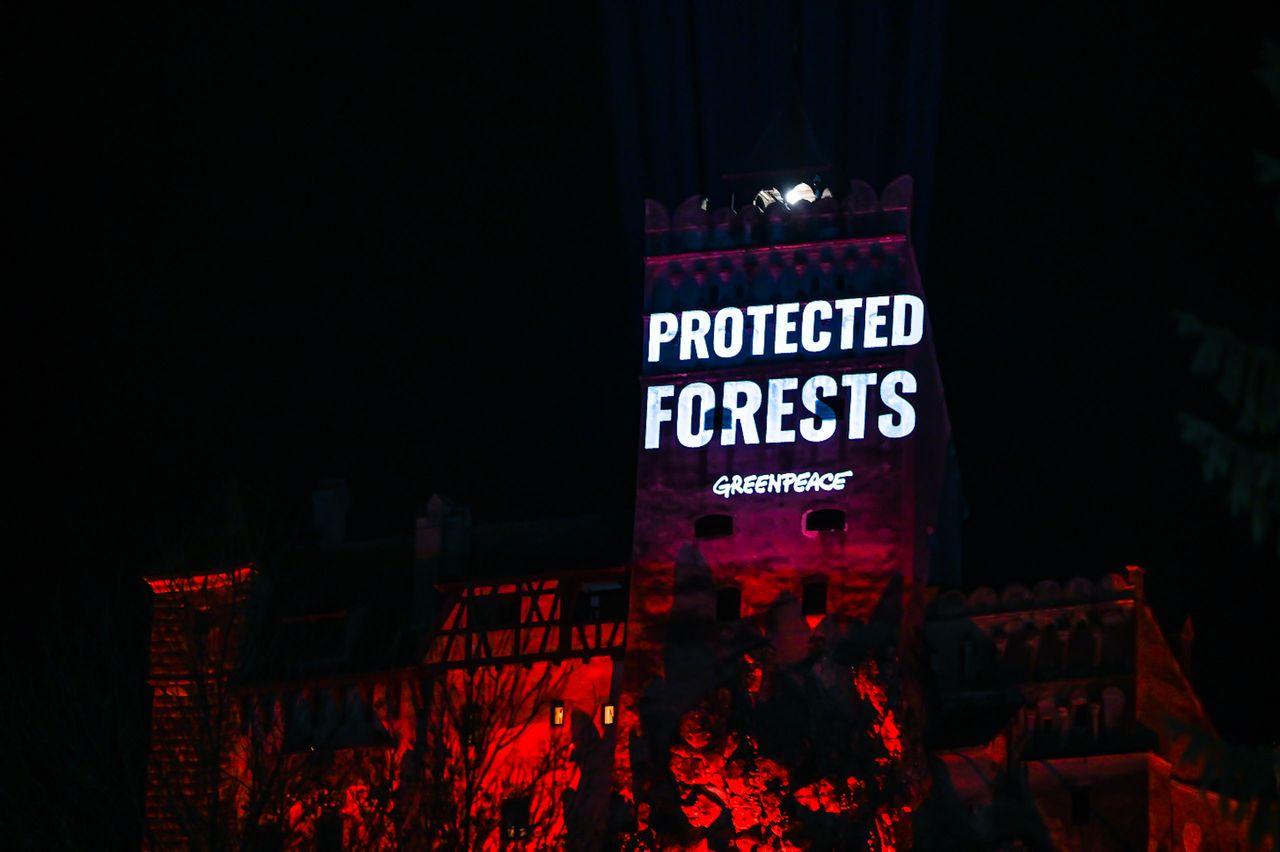 Greenpeace — SOS Carpathian Forest at Bran Castle