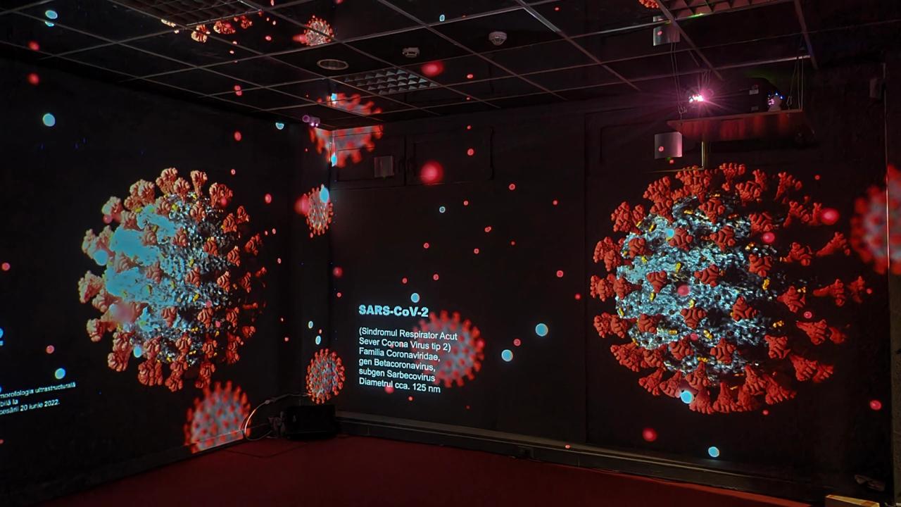 Atlas Of The Viruses