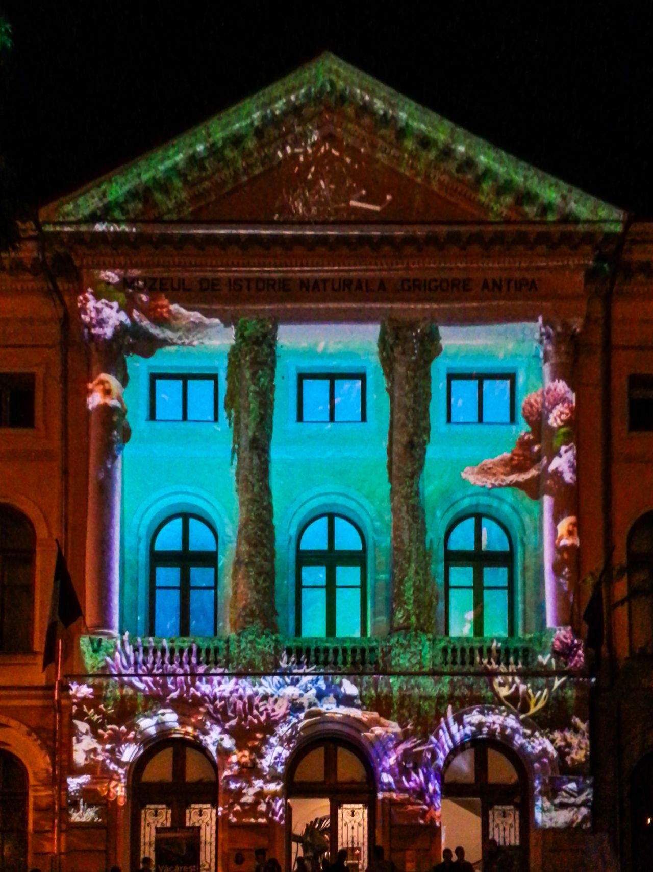 Night of Museums — Antipa Museum