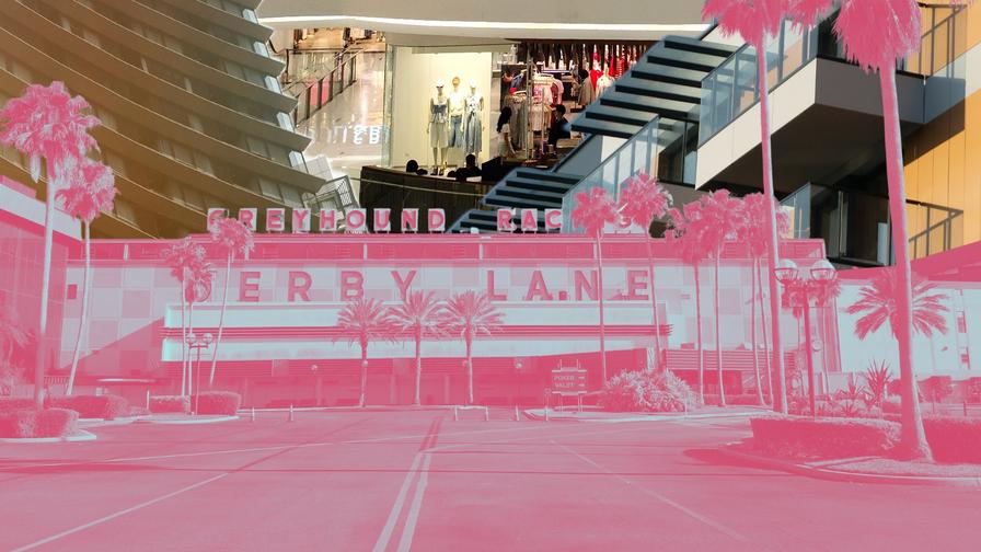 derby-lane-future