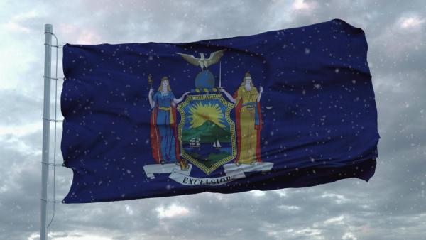 new york flag winter