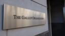 A brushed metal sign on a concrete wall reading, The Gallup Organization.