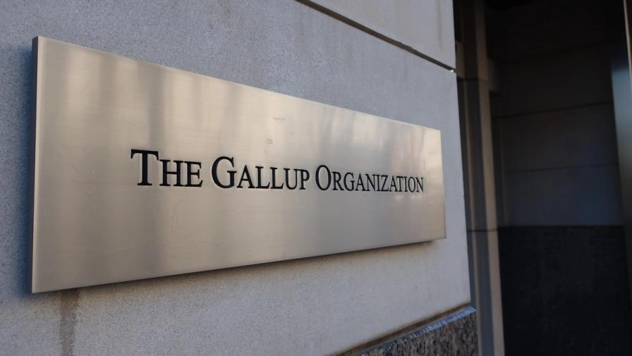 A brushed metal sign on a concrete wall reading, The Gallup Organization.