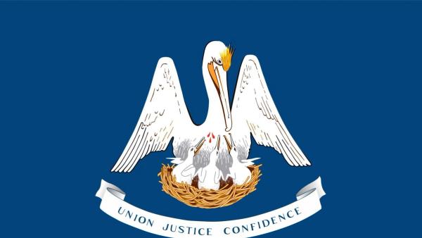 Louisiana sweeps ban part 2