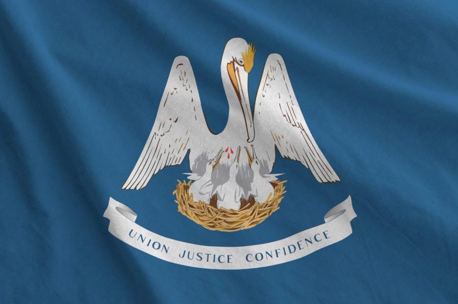 Louisiana Anti-Sweeps Bill