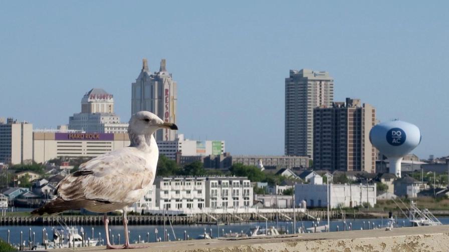 New Jersey 2025 online casino revenue