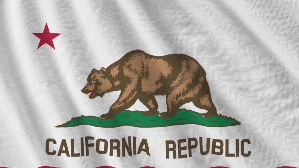 AB 831 California