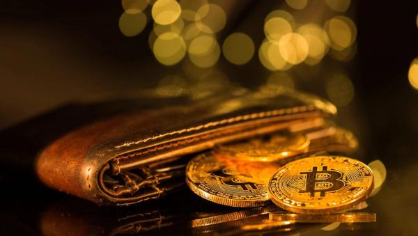 cryptocurrency wallet