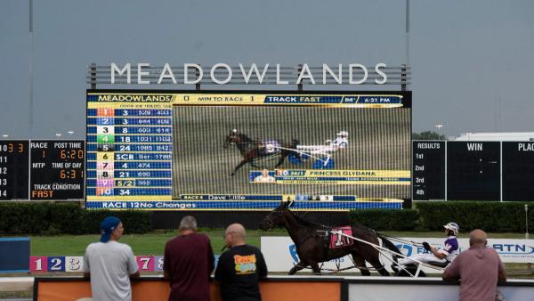meadowlands