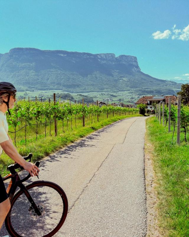 Il giardino all'italiana all'ombra dei lecci