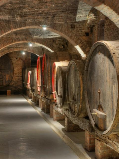 Sala con grandi finestre ad arco affacciate sul verde