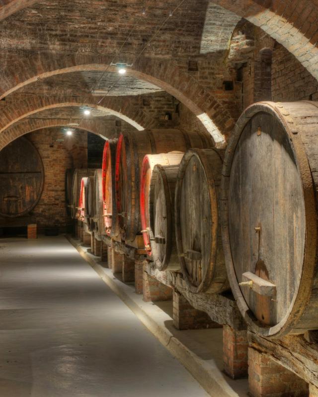 Sala con grandi finestre ad arco affacciate sul verde
